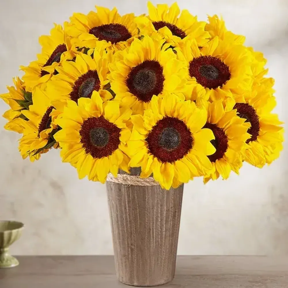 flores amarillas / yellow sunflowers