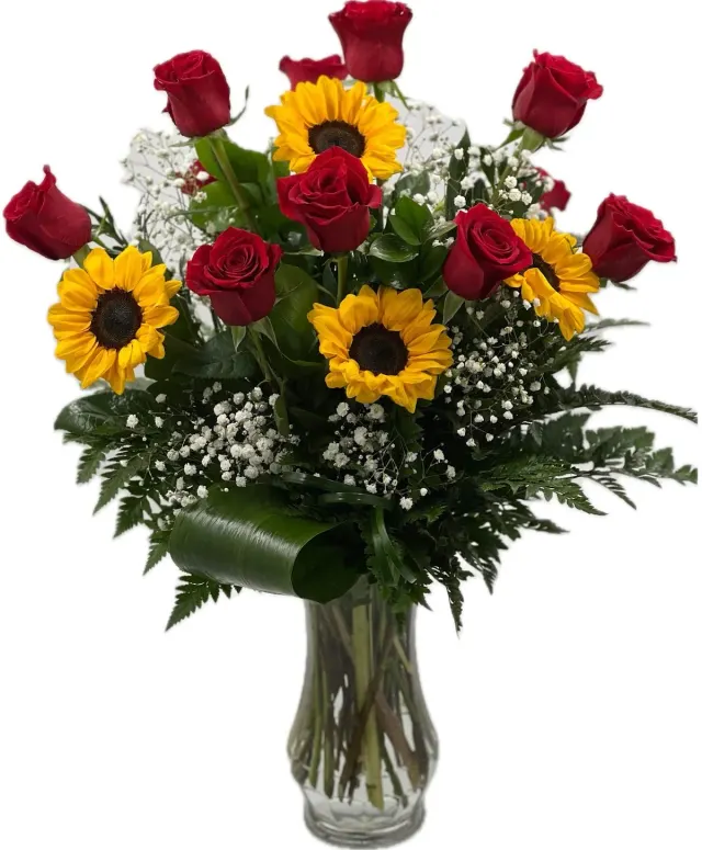Suns and Roses