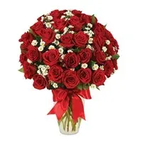 3 Dozen Roses - Red