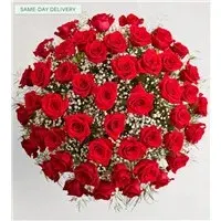 Ultimate Elegance Long Stem Red Roses