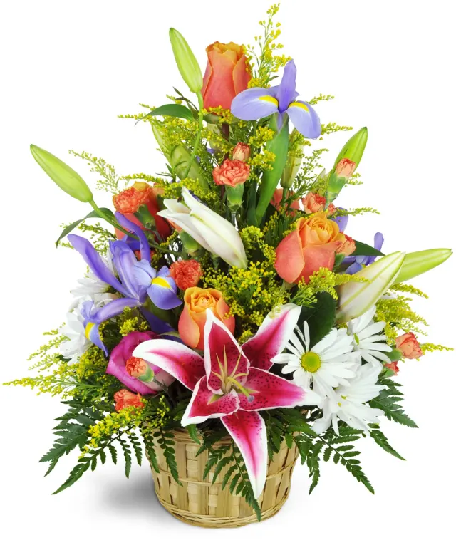 Stargazer Blessings Basket