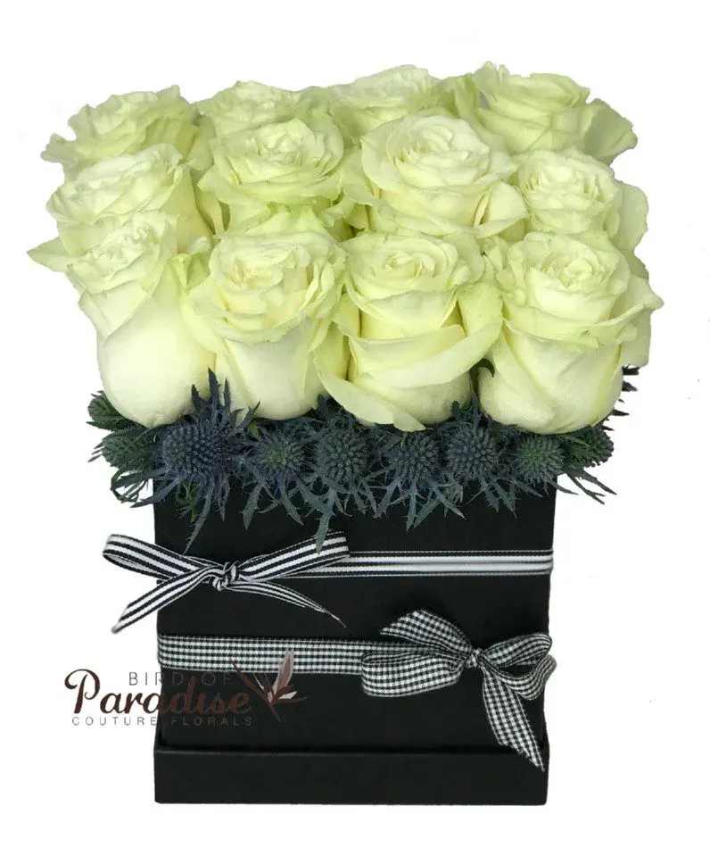 White rose Box