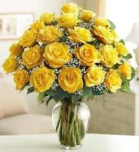 Elegance Long Stem Yellow Roses -2 dozen