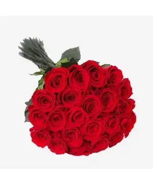 24 Red Roses Ramo Buchon Black Paper Wrapped