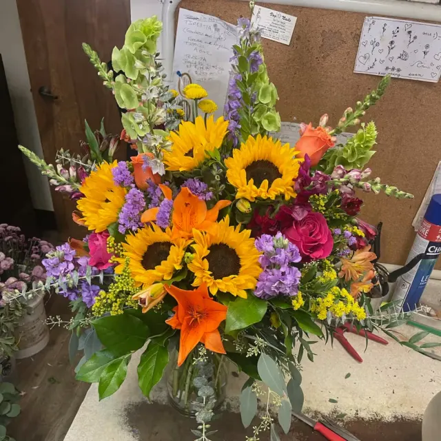 sunflower suprise