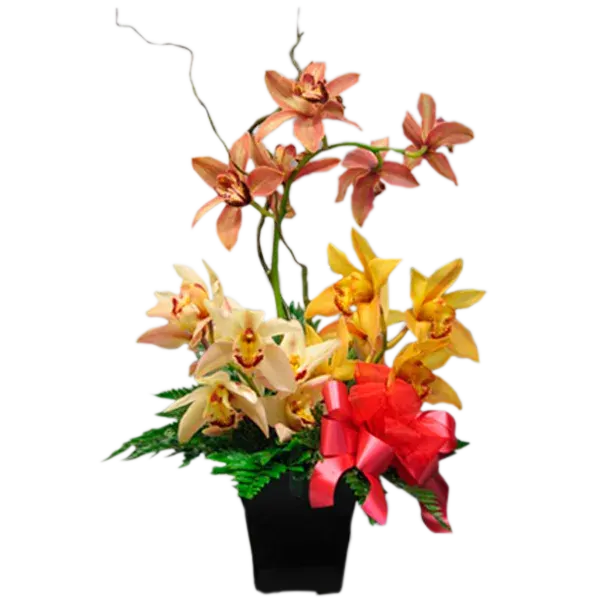 Cymbidium Arrangement
