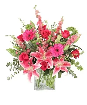 Pink Explosion