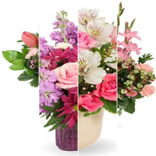 Pink Designer Choice