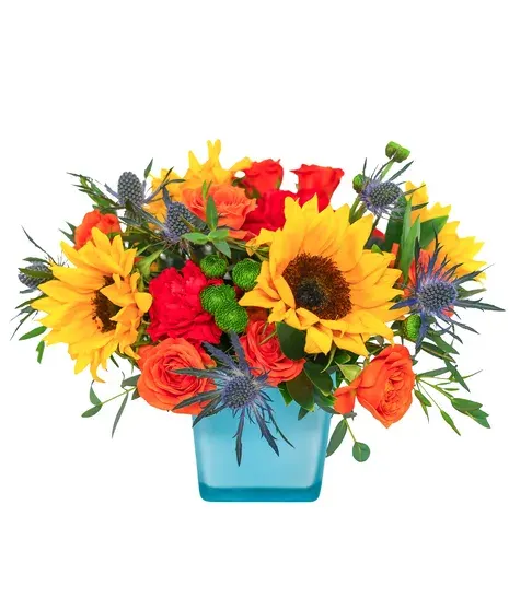 Splash of Sunshine