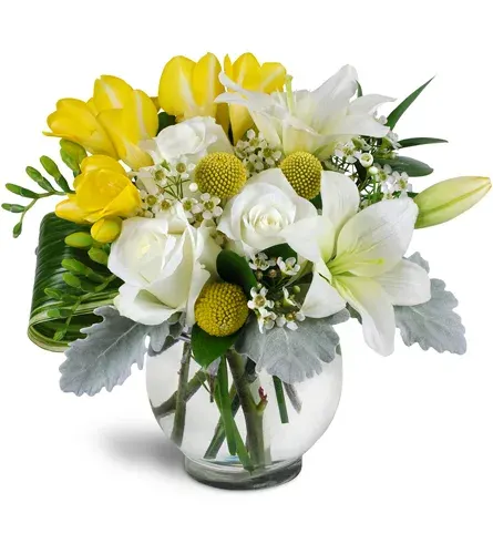 Soothing Blooms