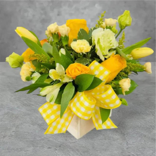Sunshine Box