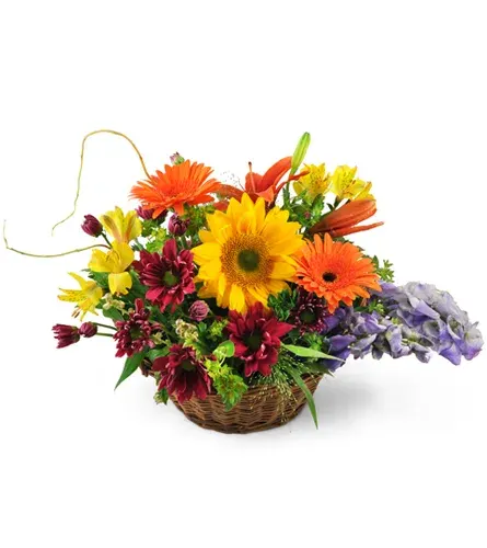 Basket of Wishes