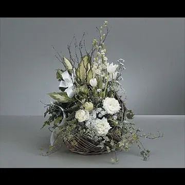 Nature Flowers