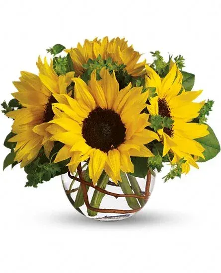 sunny sunflowers.jpg
