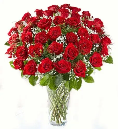 Fifty Red Roses Bouquet -by Apple Blossom Florist
