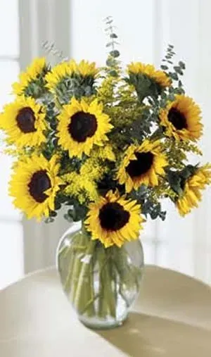 Endless Sunflower Bouquet -by Apple Blossom Florist