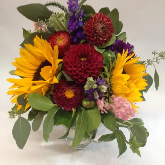 A Summer of Sunflowers