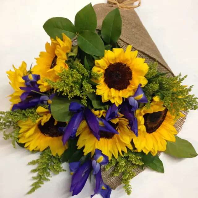 Sunflower Power