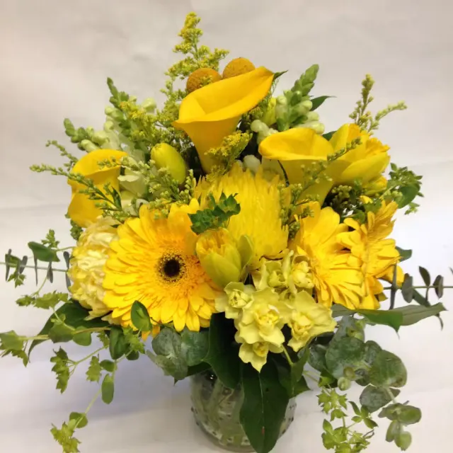 Bright Lemon Spring.