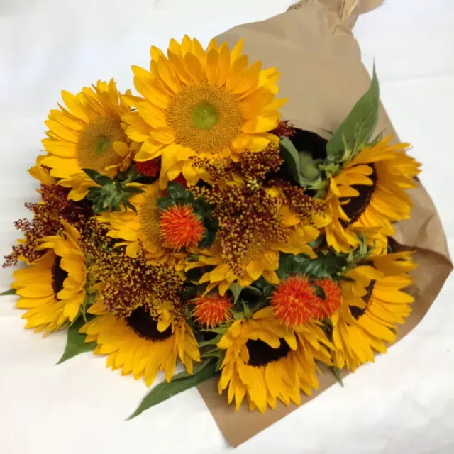 An Autumn Sunburst