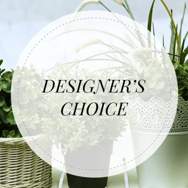 Designer's Choice Dish Garden