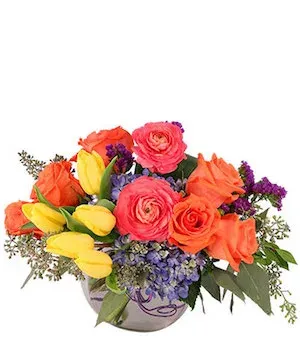Vivid Splendor