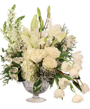 Bespoke Ivory
