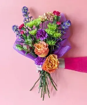Colorful Collection