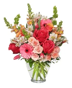 Cherish Spring