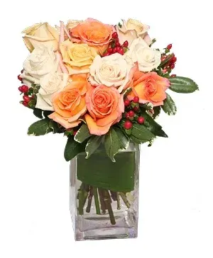 Antique Roses