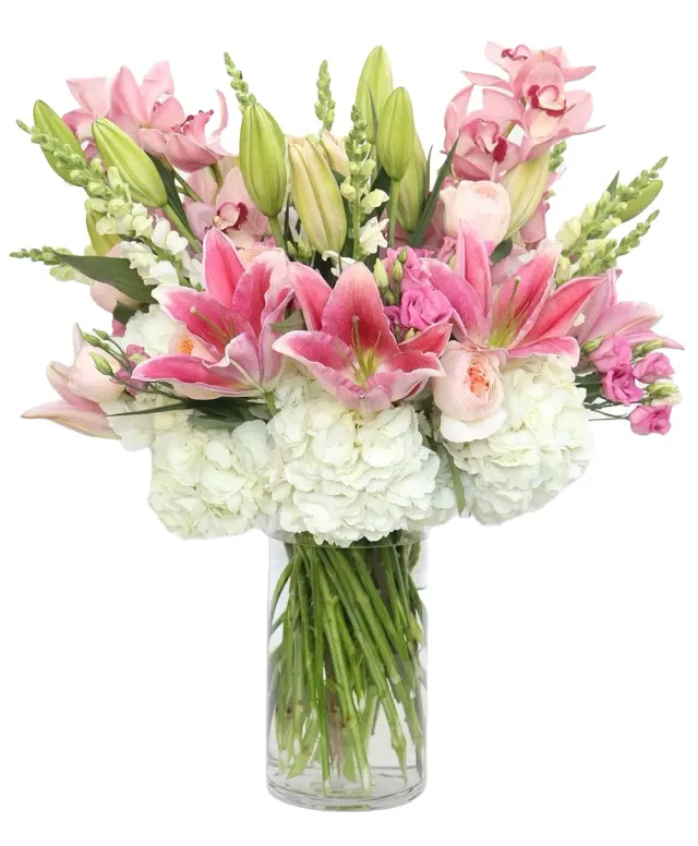 Cala Lilies of Love