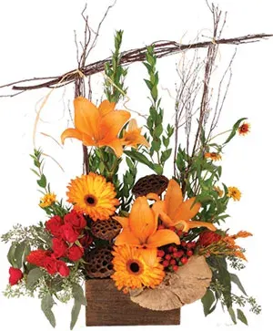 Alluring Amber Lilies