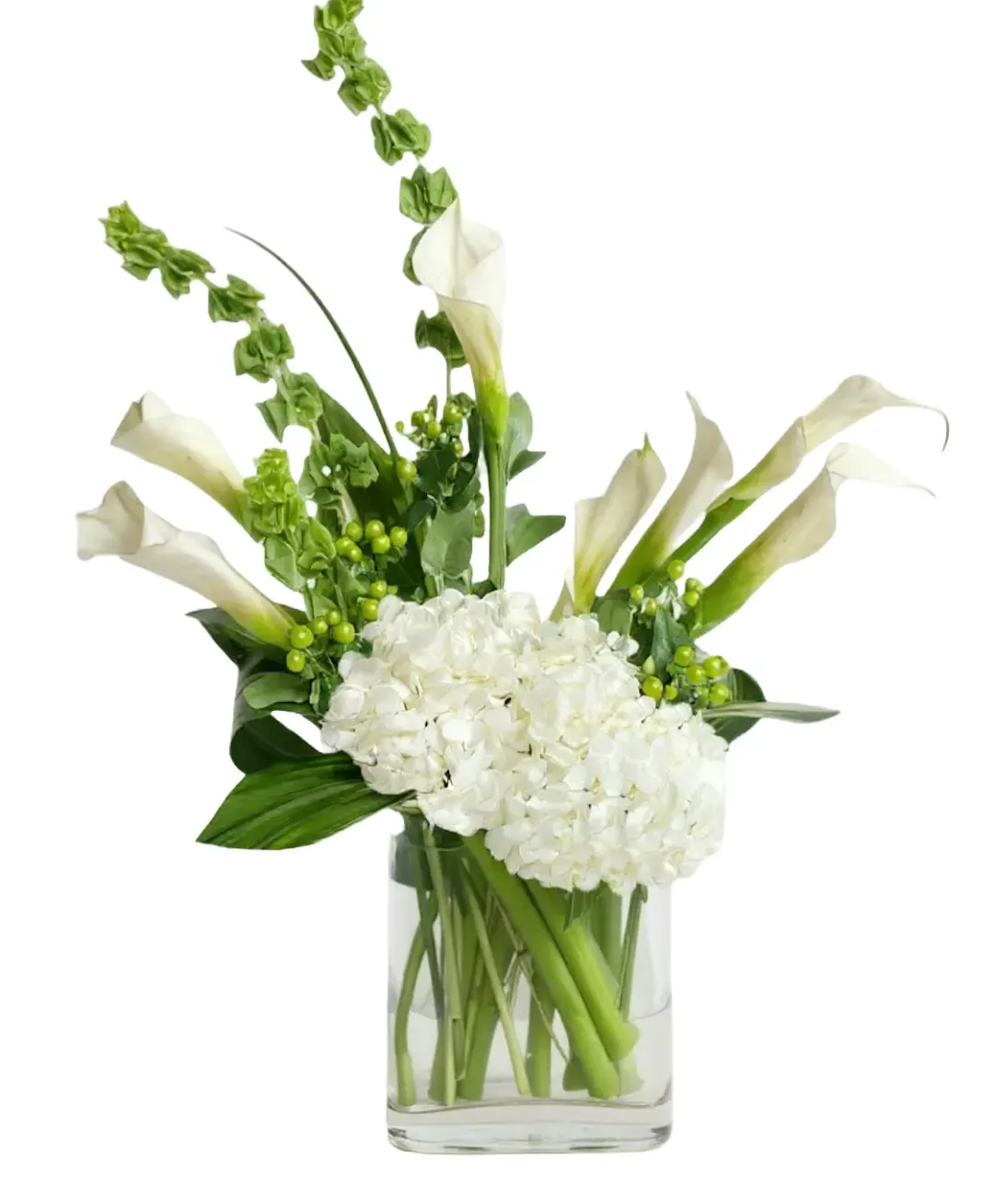 Pure Calla Lily Garden