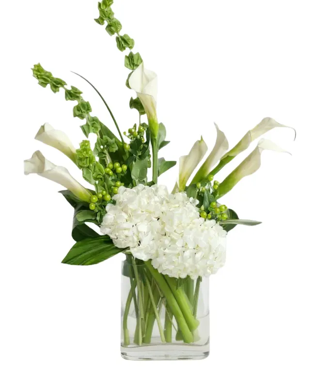 Pure Calla Lily Garden