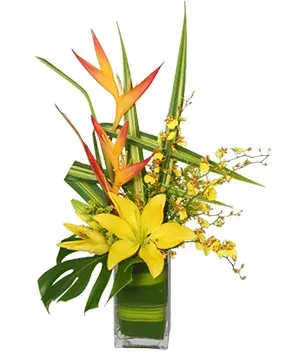 5-Star Flowers