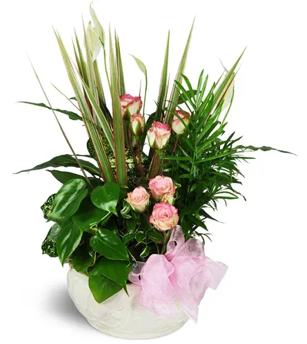 Sweet Memories Sympathy Planter