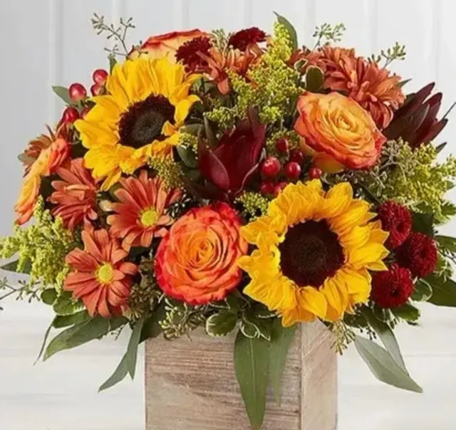 Farmers Sun Fall Box
