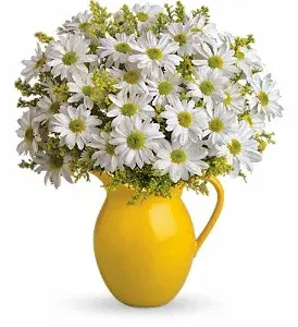 Sunny Day Pitcher of Daisy's