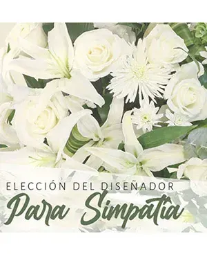 Arreglo Personalizado de Simpatía