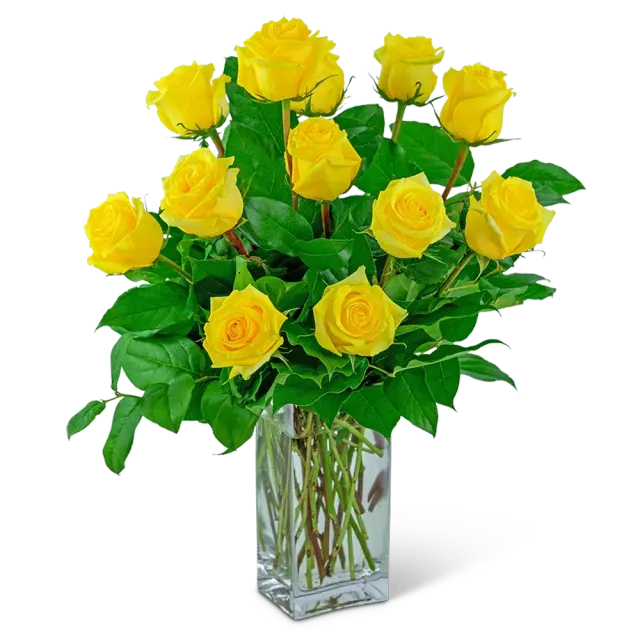 Yellow Roses (12)
