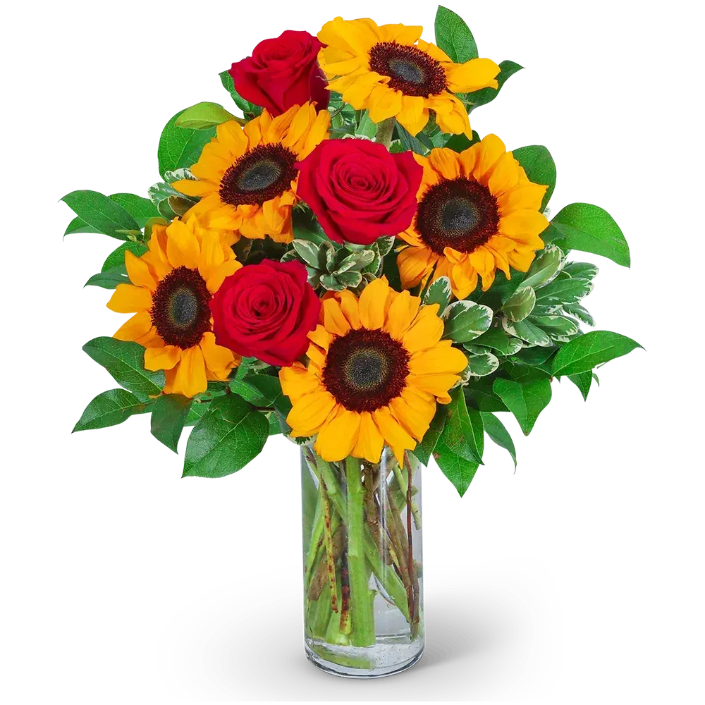 Rosy Sunflowers
