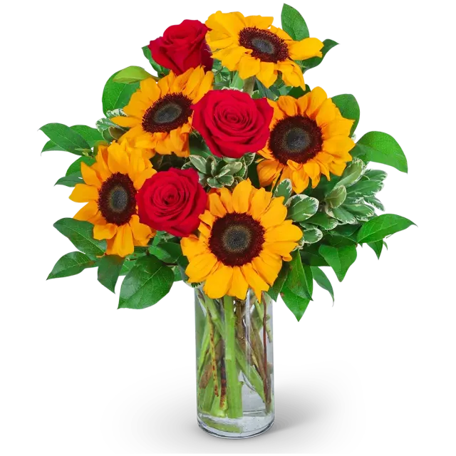 Rosy Sunflowers