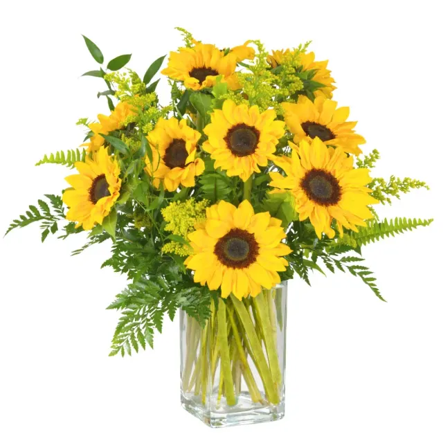Dozen Sunflowers