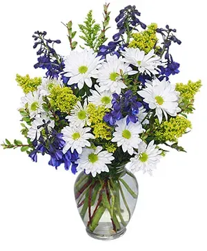 Lazy Daisy & Delphinium