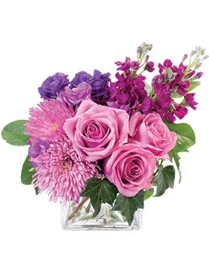 Purple Blooms of Bliss