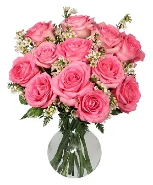 Chantilly Pink Roses