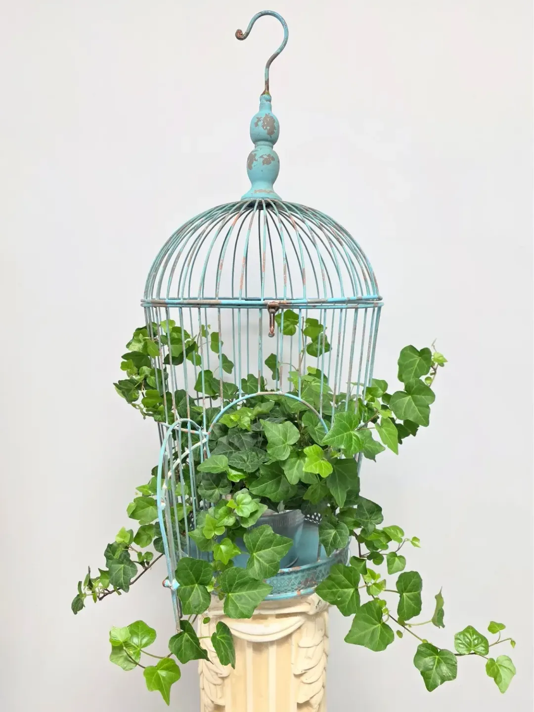 Vintage Metal Bird Cage With Ivy Plant