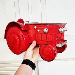Plant Or Arrangement in Red Tractor