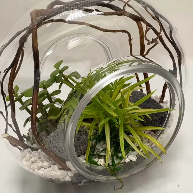Infinity Terrarium