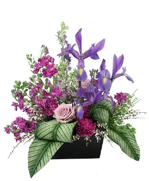 Lilac Wishes